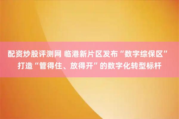 配资炒股评测网 临港新片区发布“数字综保区” 打造“管得住、放得开”的数字化转型标杆