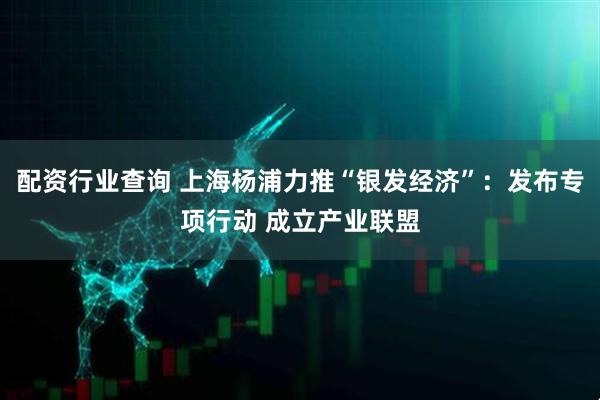 配资行业查询 上海杨浦力推“银发经济”：发布专项行动 成立产业联盟