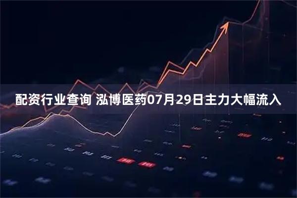 配资行业查询 泓博医药07月29日主力大幅流入