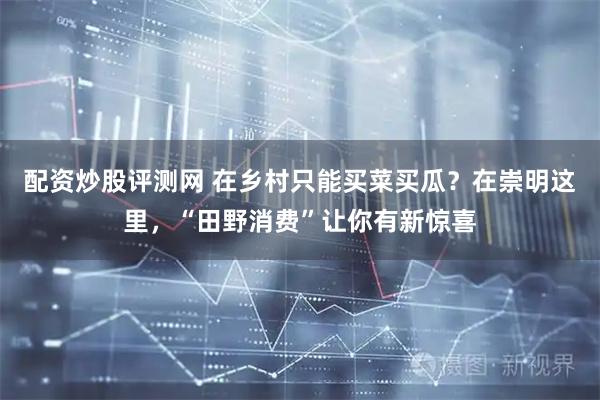 配资炒股评测网 在乡村只能买菜买瓜？在崇明这里，“田野消费”让你有新惊喜