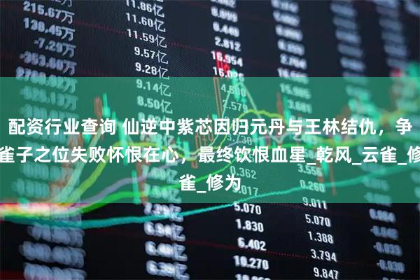 配资行业查询 仙逆中紫芯因归元丹与王林结仇，争朱雀子之位失败怀恨在心，最终饮恨血星_乾风_云雀_修为